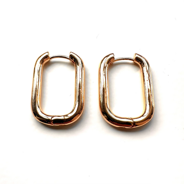 Formation Co Gold Darcy Hoop Earrings.jpg