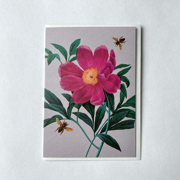 Peonie & Bee Greeting card.jpg