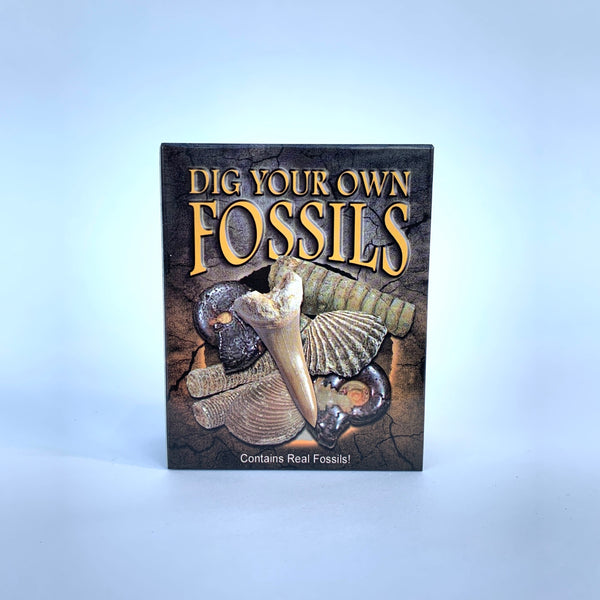 Dig Your Own Fossils .jpg