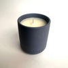Aery Small Japanese Garden Candle.jpg