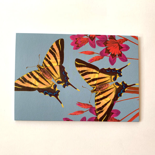 Butterfly Greeting Card.jpeg