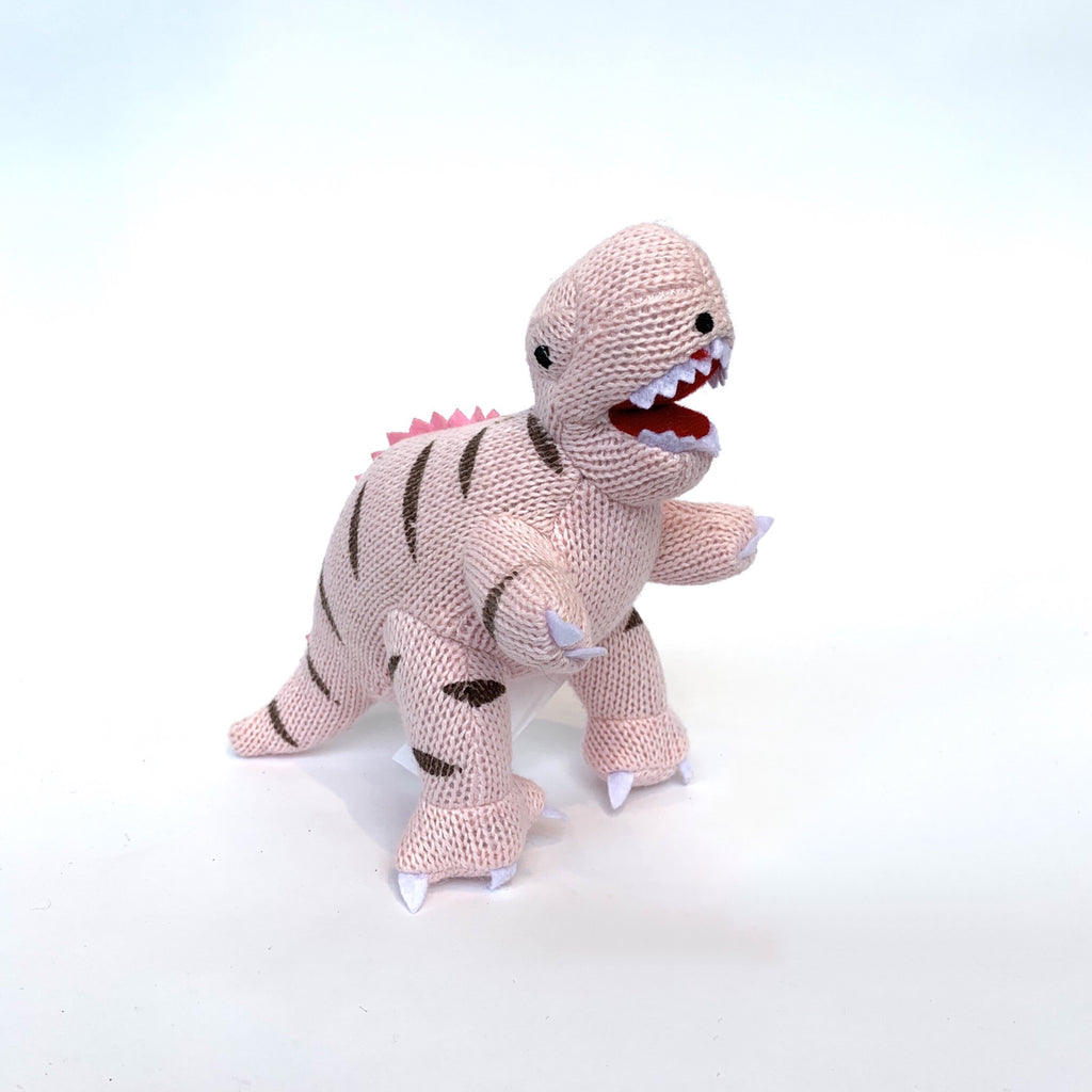 Dinosaur Knitted Toy .jpg